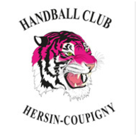 Ancien logo : tête de tigre rose et noire sous l'inscription Handball Club Hersin-Coupigny